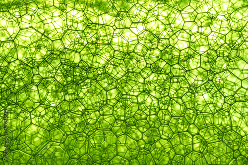Obraz na plátně Light Green Background Closeup of Oil Drops in Water