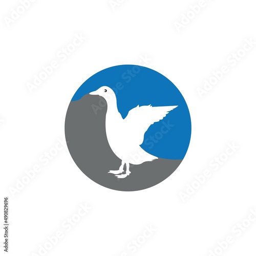 Duck logo
