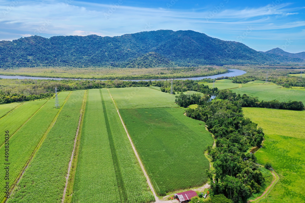 Fototapeta premium Deeral south of Cairns. Aerial views sugarcane