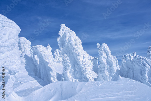 樹氷 / Ice Monster