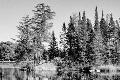 Beautiful Autumn scenery with the colors of Fall by the quiet lake and a clear blue sky, B&W rendered photos