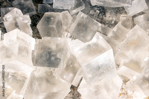 A Halite - rock salt, close up.