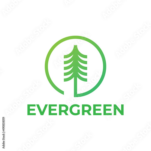evergreen pine tree in circle logo design