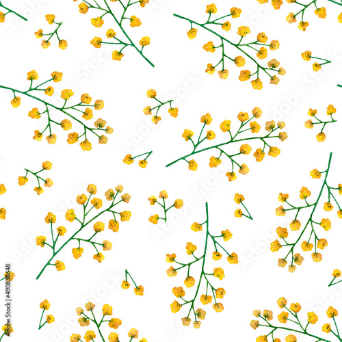 Seamless floral pattern of branches with small, spherical, yellow inflorescences on a white background. The flowers are hand-painted in watercolor. © Svetlana