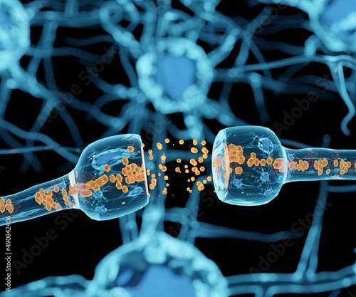 A neuron or nerve cell is an electrically excitable cell. It communicates with other cells via synapses 3d rendered