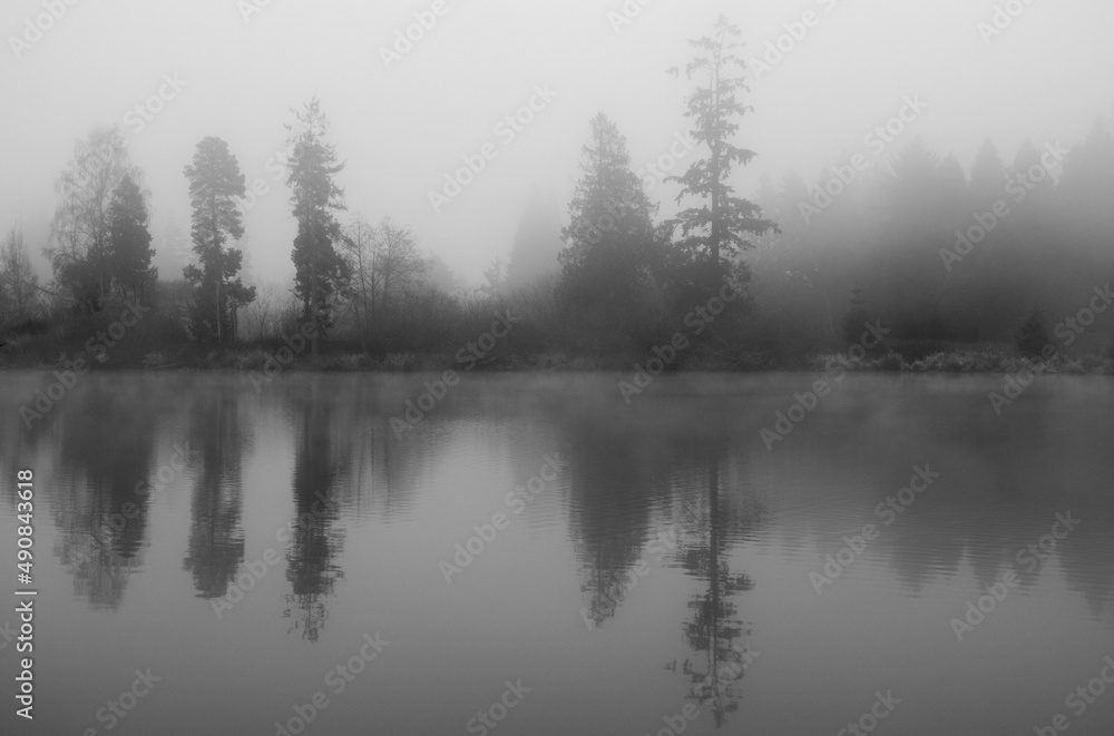 Fall view nice scene Lake view Quiet nice Fall Fall view nice scene Lake view Quiet nice Fall