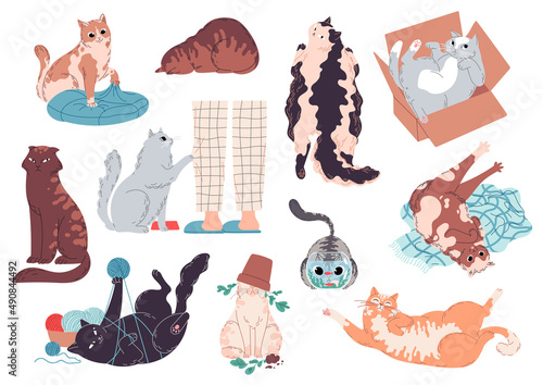 Set of cute and funny cats Vector illustration