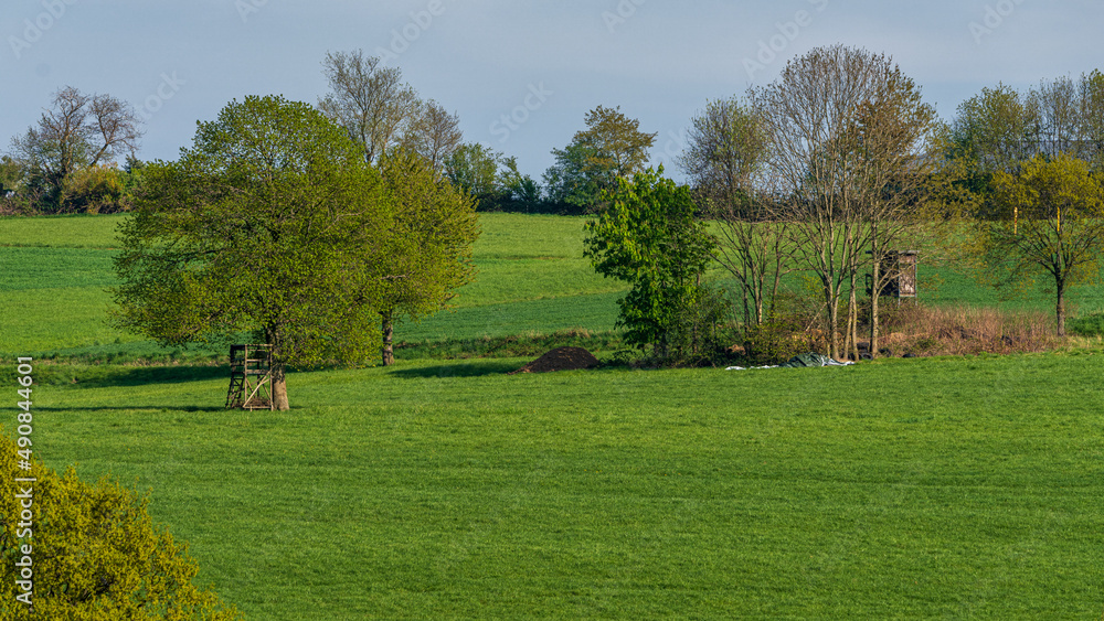 Fototapeta premium A hunting stand on a meadow near Heiligenhaus, North Rhine-Westphalia, Germany
