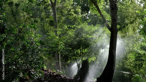 Water sprinkler watering the gardens in Alhambra Granada. Beautiful and vibrant green colors. Take care of the earth.
