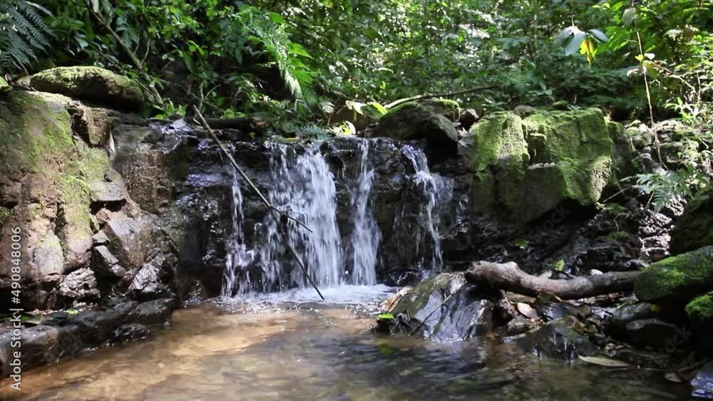 Beautiful waterfall in the jungle of Costa Rica Beautiful waterfall in the jungle of Costa Rica