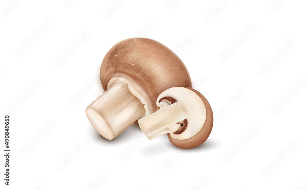 Fresh Brown Mushroom vector illustration with half piece of mushroom vegetable Fresh Brown Mushroom vector illustration with half piece of mushroom vegetable