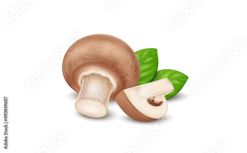 Brown mushroom with half piece of mushroom vegetable  and basil leaves- vector illustration