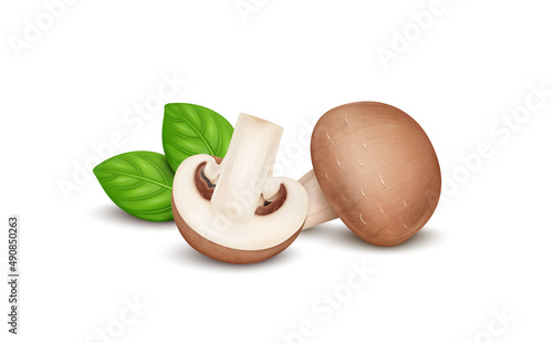 Fresh Brown Mushroom vegetable vector illustration with half piece of mushroom and green basil leaves