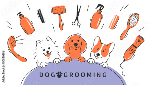 Foto Dog grooming