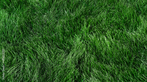 The texture of green grass surface for the background