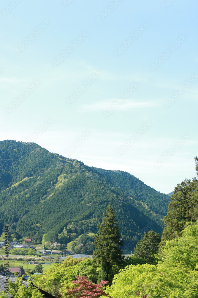 Naklejka premium 日本の春の美しい風景 兵庫県丹波市の新緑の山