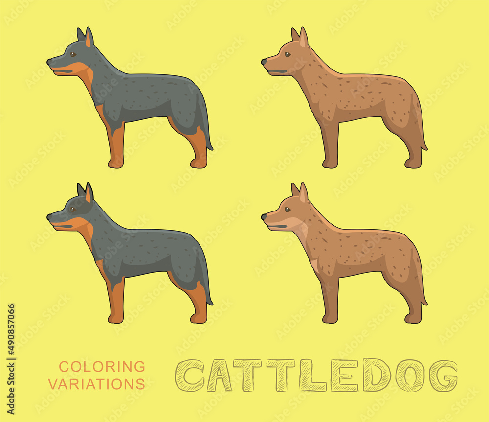 Dog Cattle Dog Coloring Variations Cartoon Vector Illustration