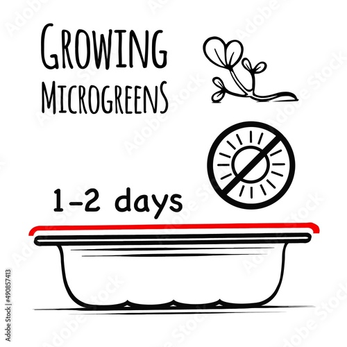 microgreen seed germination vector freehand sketch black and white