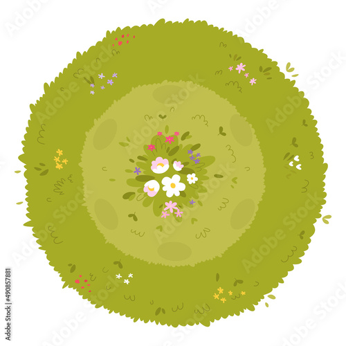 Green grass summer field, fish eye aerial perspective view from top to down of meadow