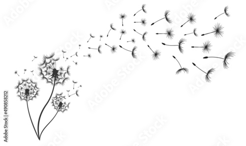 Fototapeta Naklejka Na Ścianę i Meble -  Hand drawn dandelion with flying seeds in cute doodle style on white background banner. Vector illustratin for fabric, card design, baby clothings, wall decor.