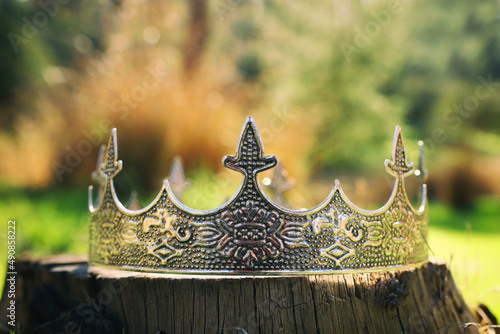 mysterious and magical photo of silver king crown in the woods. Medieval period concept.