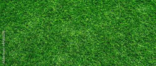 lawn at home increase green space Increase oxygen, reduce glare.and help alleviate the spread of dust well 