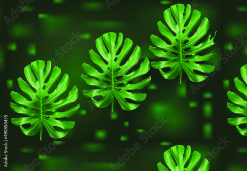 Pattern of palm leaves, monstera leaves, Green large leaves on a dark green background with bright green spots