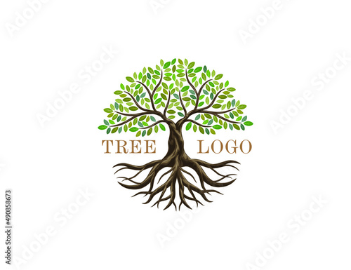 Tree and roots vector, abstract tree logo with circle shapes