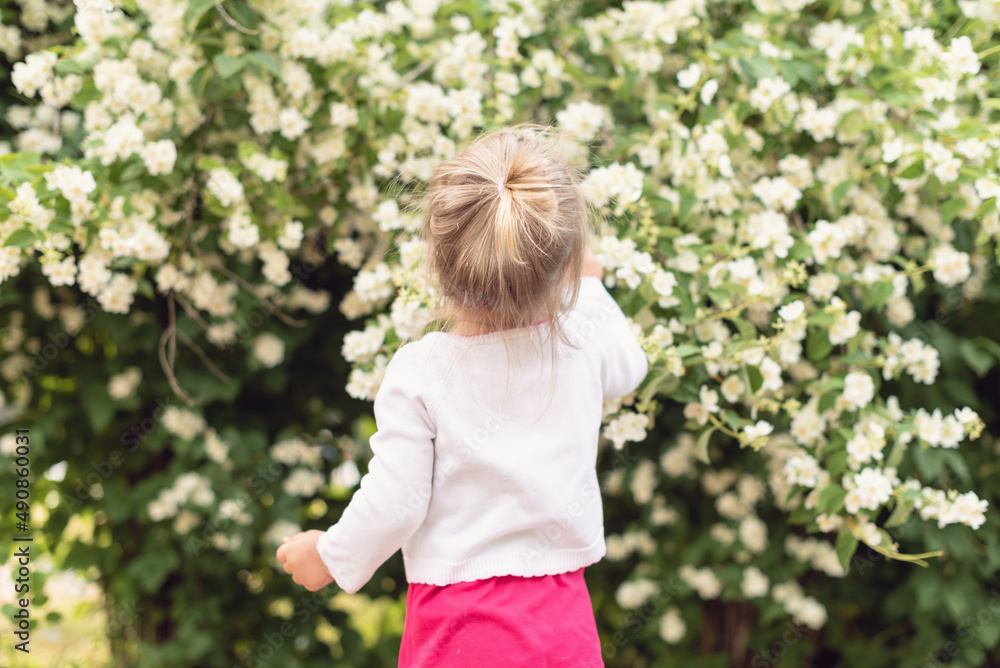 Little girl in the park on a sunny day. Todler girl in garden, under the flowering tree. Spring petal's rain. Concept of spring, happy childhood, peace in the world, peace and happiness, harmony Little girl in the park on a sunny day. Todler girl in garden, under the flowering tree. Spring petal's rain. Concept of spring, happy childhood, peace in the world, peace and happiness, harmony