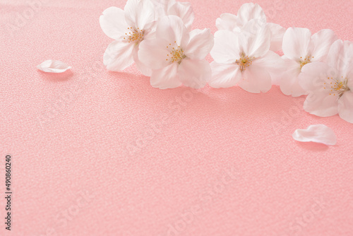 桜の花　和風の布 © tamayura39