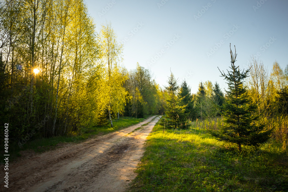 A beautiful spring landscape with a road in Northern Europe woodlands. Seasonal scenerey.