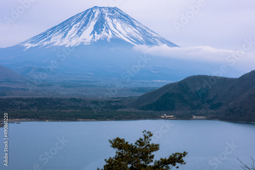 富士五湖周辺から朝霧をまとう富士山を望む。