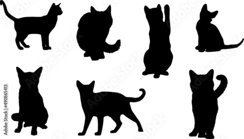 Russian Blue Cat Silhouette Bundle SVG