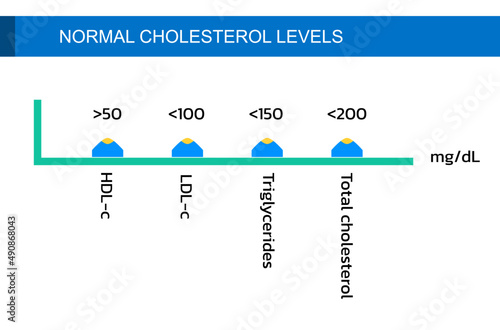 Normal cholesterol levels , vector
