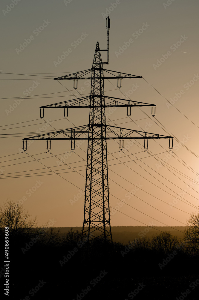 Fototapeta premium power lines in the morning