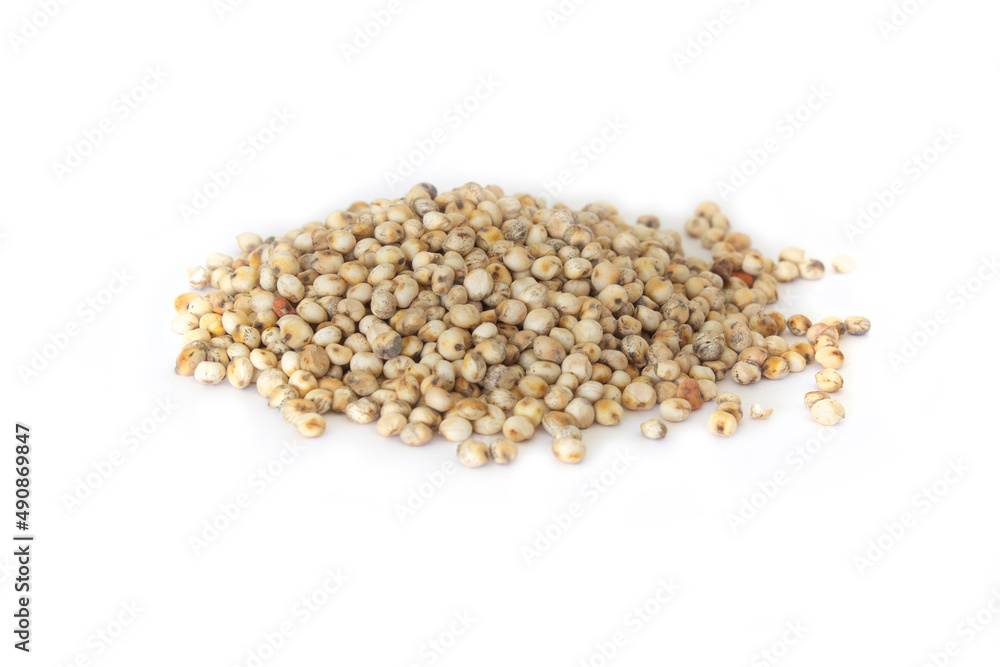 Sorghum or Milo Super Grain or Seeds in Heap or Pile Isolated on White Sorghum or Milo Super Grain or Seeds in Heap or Pile Isolated on White