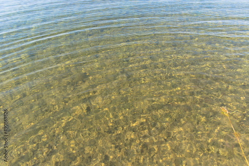 Clean water in the lake