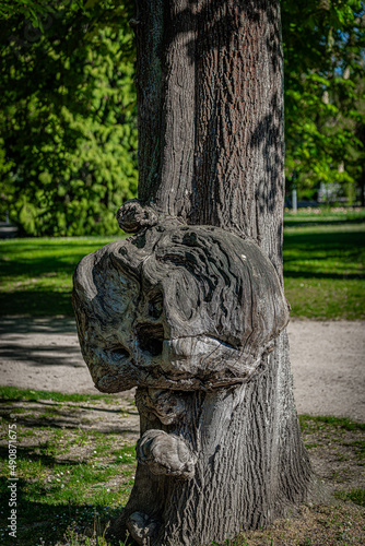 Wallpaper Mural Baumstamm mit Wulsten Torontodigital.ca