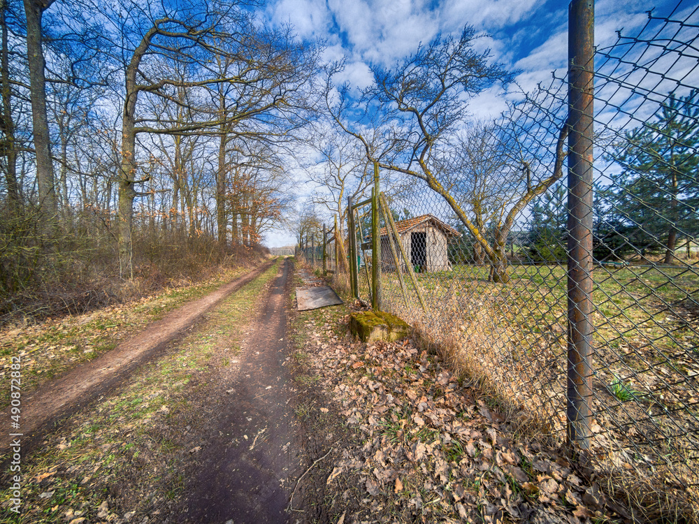 Fototapeta premium Ein Gartenhaus aus Holz an einem Waldrand