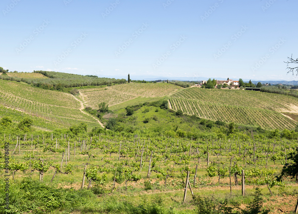 View of rural landscape in Tuscany