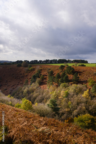 Wallpaper Mural view of the valley Torontodigital.ca