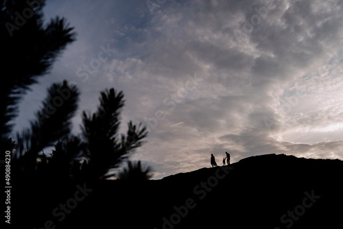 Family Silhouettes Walking Together in Nature © oksana_bondar