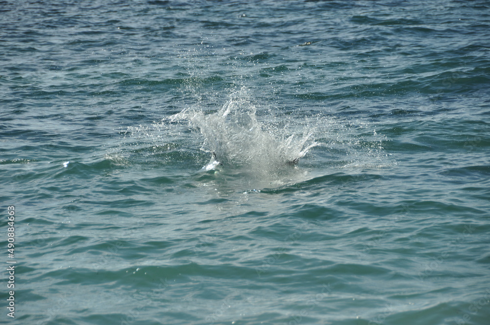 Naklejka premium Travel