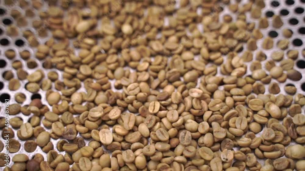 Close-up of Arabica coffee beans being processed and dried. Close-up of Arabica coffee beans being processed and dried.