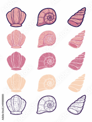 Beautiful Line Art Seashells Graphic Design Set 