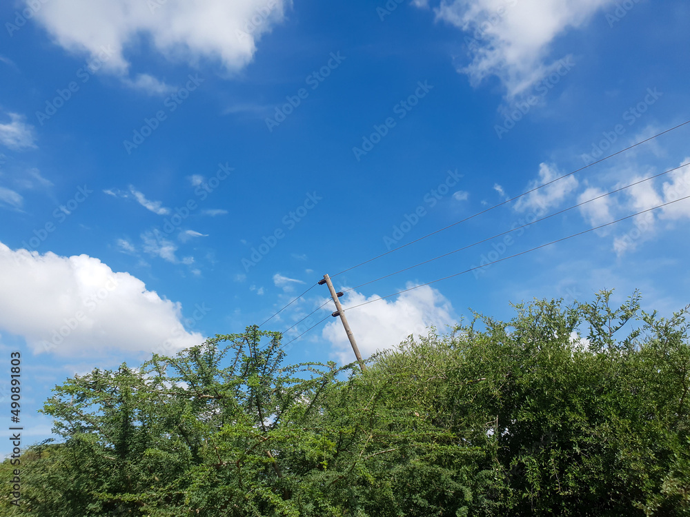 An electric pole leans in the middle of the woods about to fall