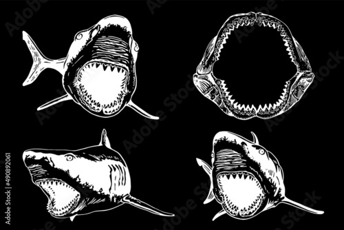 Graphical collection of sharks and megalodon jaw on black background isolated,vector elements
