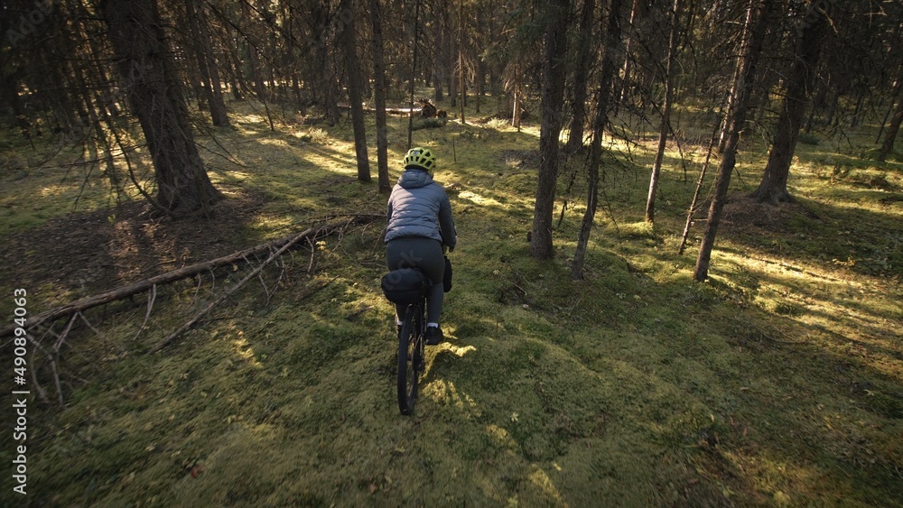 Obraz premium The woman travel on mixed terrain cycle touring with bike bikepacking outdoor. The traveler journey with bicycle bags. Stylish bikepacking, bike, sportswear in green black colors. Magic forest park.