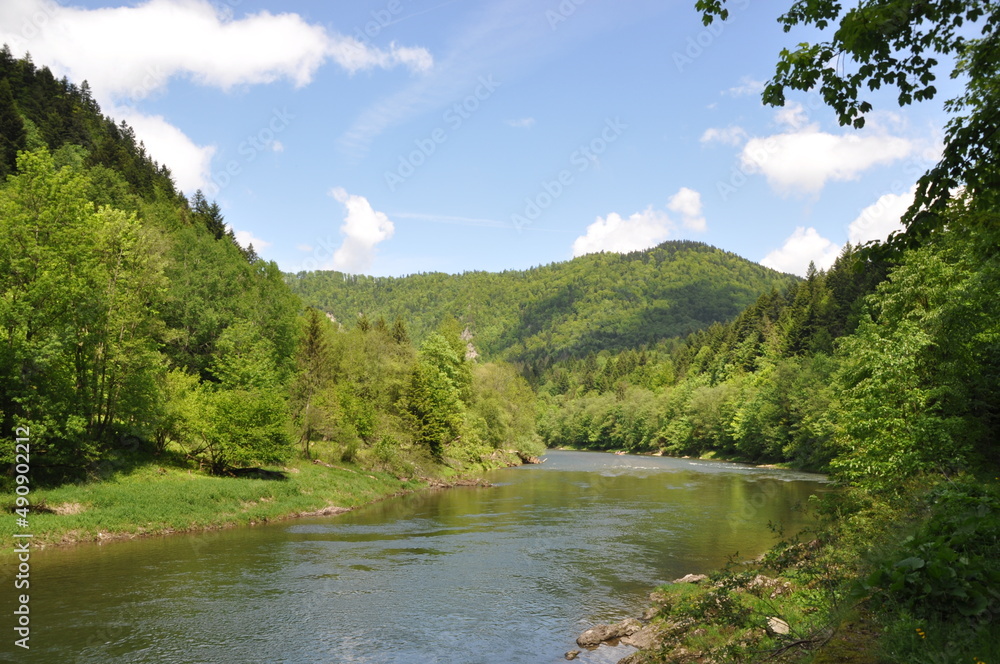 Rzeka Dunajec, Pieniński Park Narodowy, woda, zieleń, Stock Photo ...
