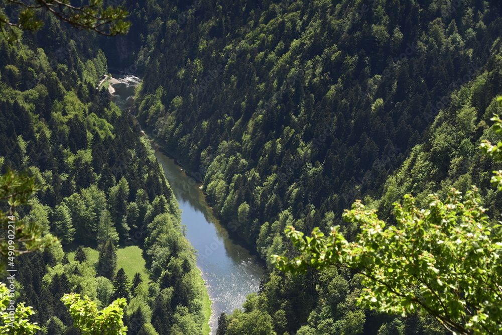 Rzeka Dunajec, Pieniński Park Narodowy, woda, zieleń, Stock Photo ...
